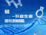 硅-开启生命进化的钥匙