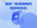 硅素~免疫细胞的后勤指导员
