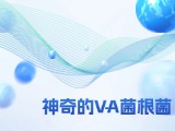 神奇的VA菌根菌