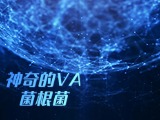 神奇的VA菌根菌