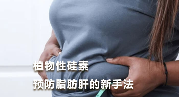 植物性硅素，预防脂肪肝的新手法