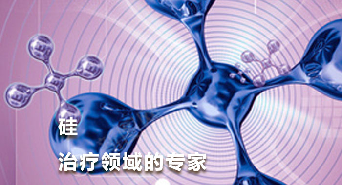 硅-治疗领域的专家