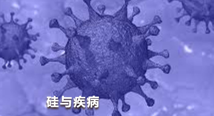 硅与疾病