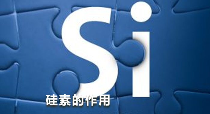 硅素的作用