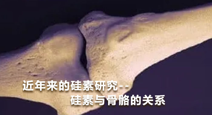 近年来的硅素研究--硅素与骨骼的关系