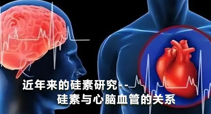 近年来的硅素研究--硅素与心血管疾病的关系
