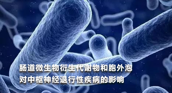 肠道微生物衍生代谢物和胞外泡对中枢神经退行性疾病的影响(中文版)
