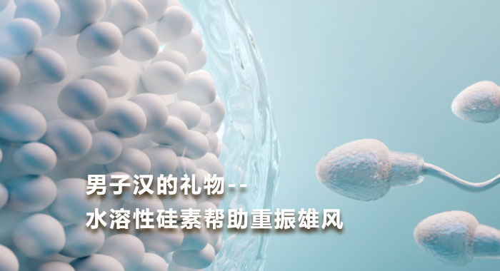 男子汉的礼物--水溶性硅素帮助重振雄风
