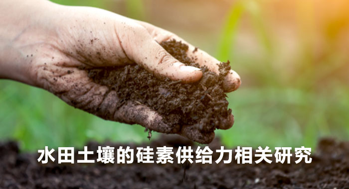 水田土壌の珪酸供給力に関する研究(中文版)