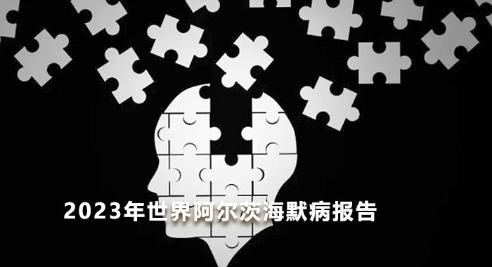 2023年世界阿尔茨海默病报告(中文版)
