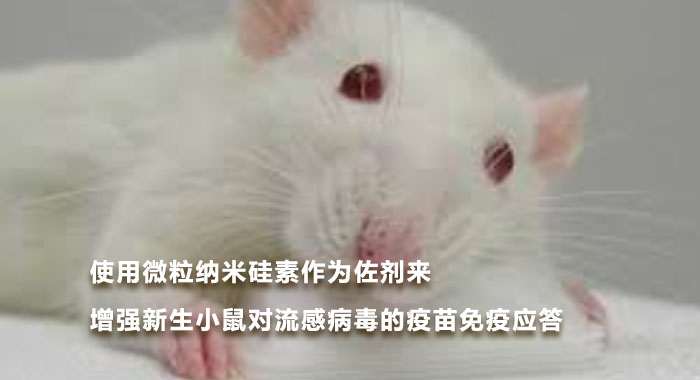 2016，使用微粒纳米硅素作为佐剂来增强新生小鼠对流感病毒的疫苗免疫应答(英文版)
