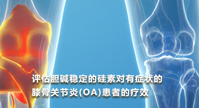 2017，评估胆碱稳定的硅素对有症状的膝骨关节炎(OA)患者的疗效(英文版)