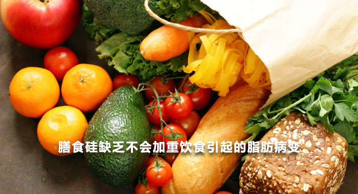 2015，膳食硅缺乏不会加重饮食引起的脂肪病变(英文版)