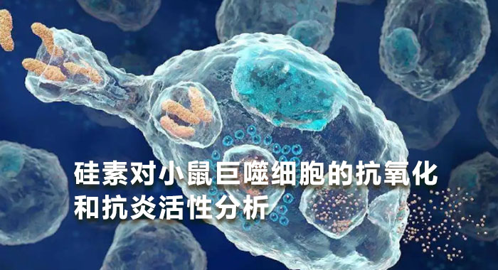 2013，硅素对小鼠巨噬细胞的抗氧化和抗炎活性分析(英文版)