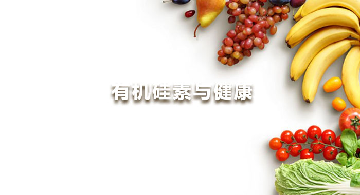 2014，有机硅素与健康(中文版)