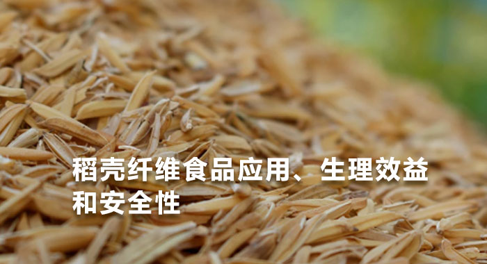 2013，稻壳纤维食品应用、生理效益和安全性(中文版)