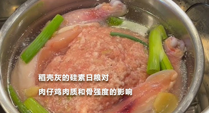 2016，稻壳灰的硅素日粮对肉仔鸡肉质和骨强度的影响(英文版)