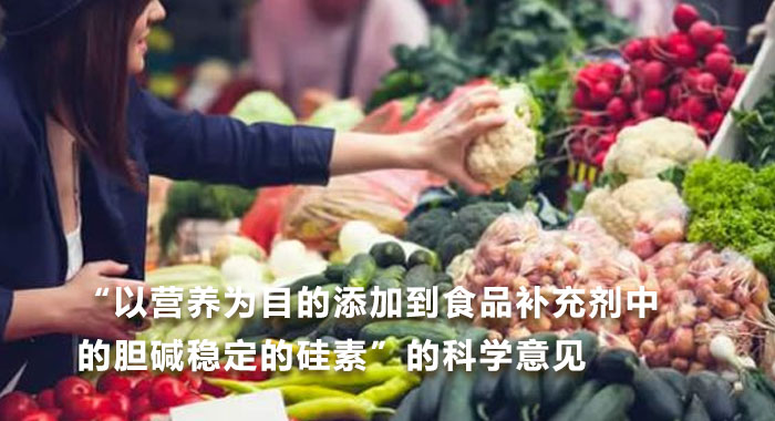 2017，“以营养为目的添加到食品补充剂中的胆碱稳定的硅素”的科学意见(英文版)