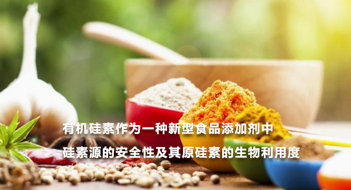 2014，有机硅素与健康(英文版)