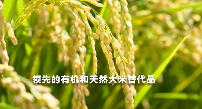 2017,领先的有机和天然大米替代品(英文版)