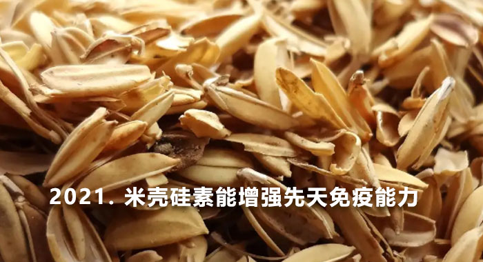 2021. 米壳硅素能增强先天免疫能力(英文版)
