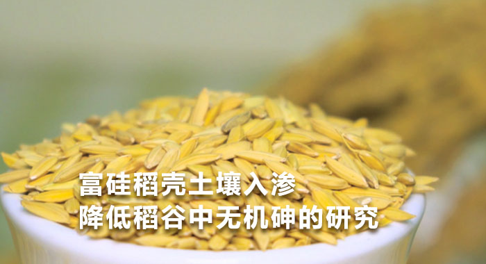 2016，富硅稻壳土壤入渗降低稻谷中无机砷的研究(英文版)