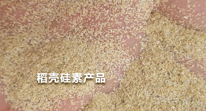 2009,稻壳硅素产品(英文版)