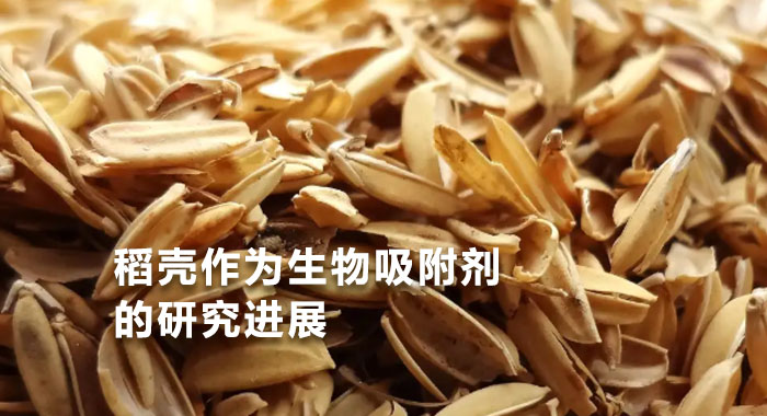 2012，稻壳作为生物吸附剂的研究进展(中文版)