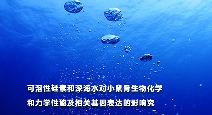 2008，可溶性硅素和深海水对小鼠骨生物化学和力学性能及相关基因表达的影响(中文版)