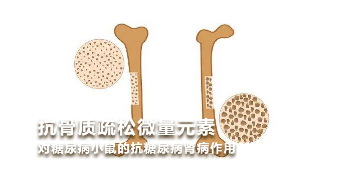 2011, 抗骨质疏松微量元素对糖尿病小鼠的抗糖尿病肾病作用(中文版)