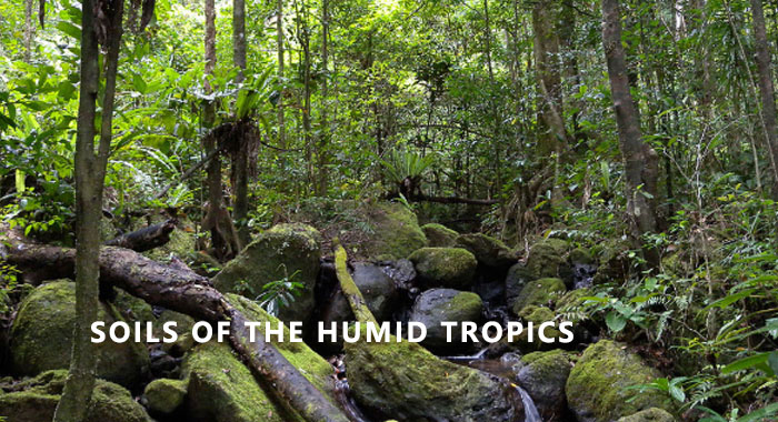 Soils of the Humid Tropics (1972)