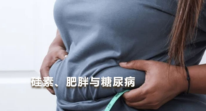 硅素、肥胖与糖尿病