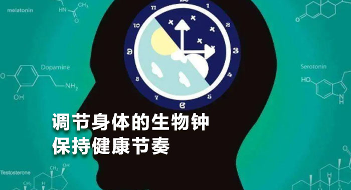调节身体的生物钟，保持健康节奏