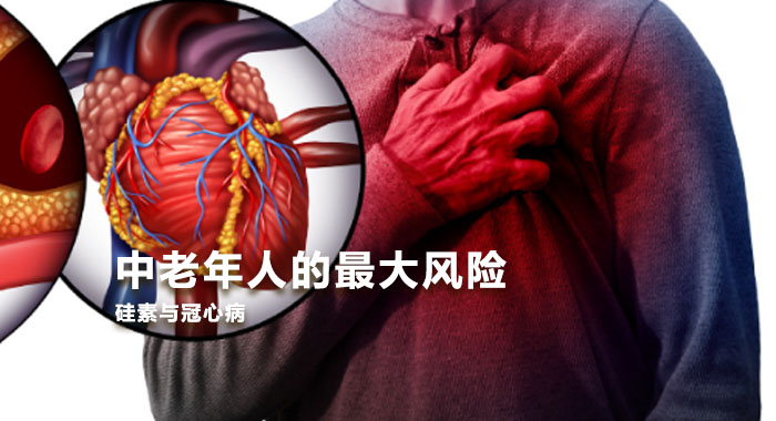 硅素与冠心病